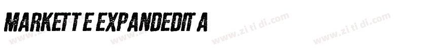 Markette ExpandedIta字体转换
